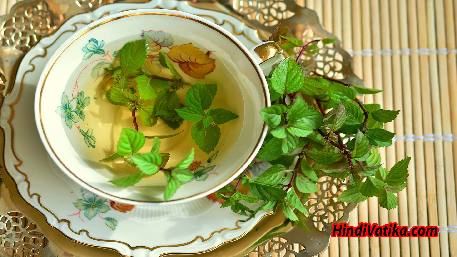 Benefits of Green Tea in Hindi